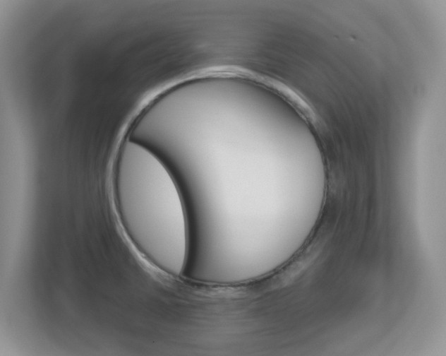 X0000112761430200908201024