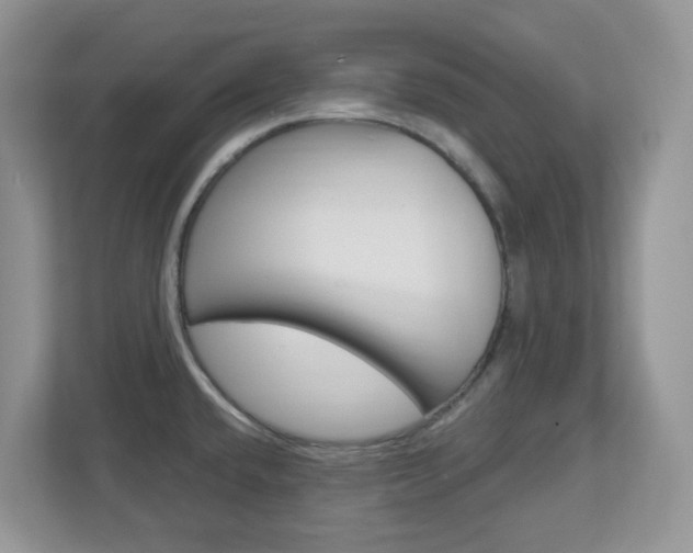X0000112761432200908201024