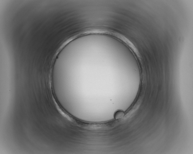 X0000112761433200908201024