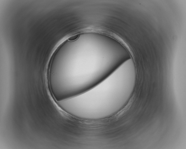 X0000112761434200908201024