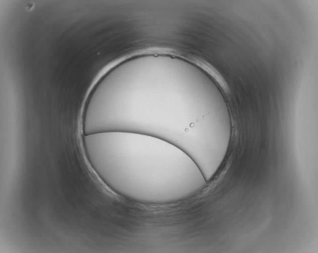 X0000112761436200908201024