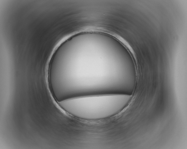 X0000112761437200908201024