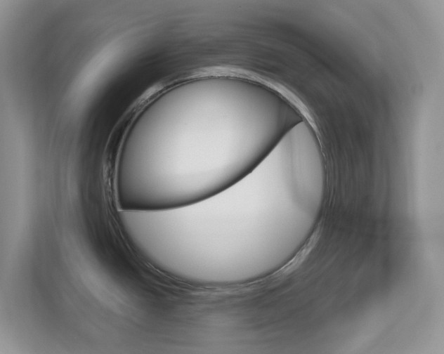 X0000112761438200908201024