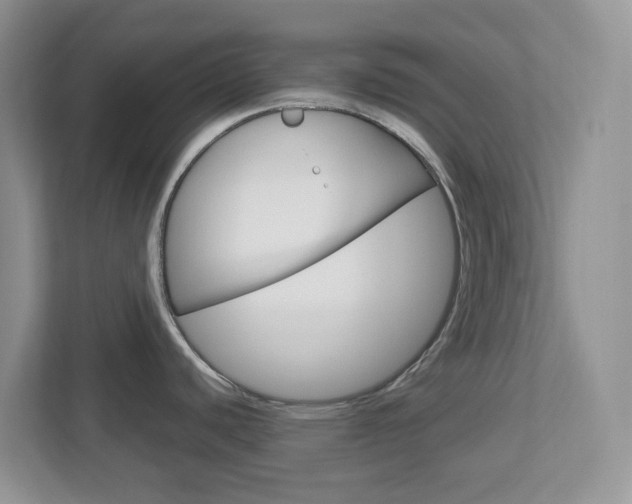 X0000112761440200908201024