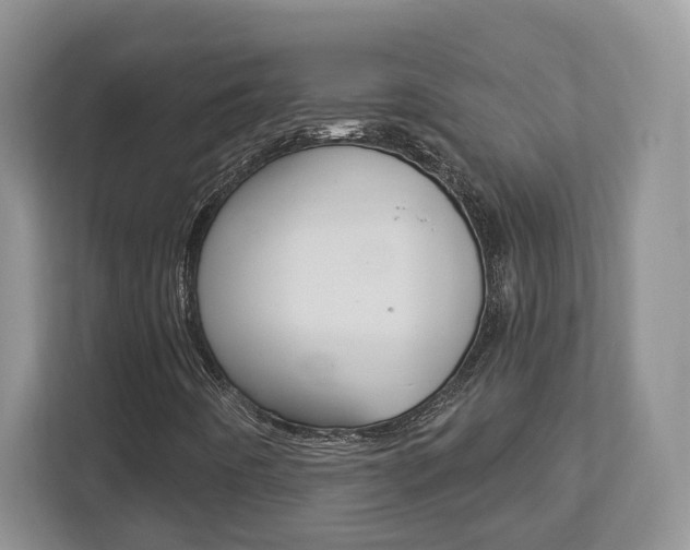 X0000112761442200908201024