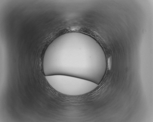 X0000112761443200908201024