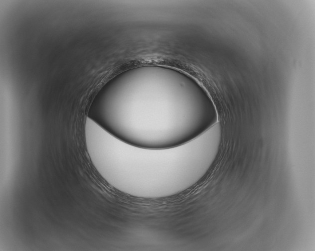 X0000112761444200908201024
