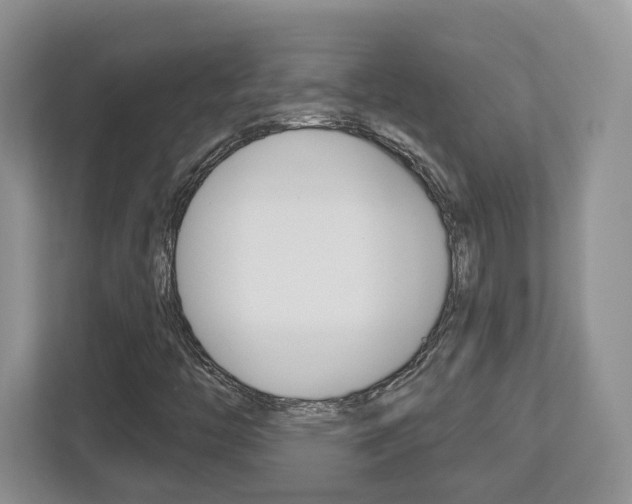 X0000112761446200908201024