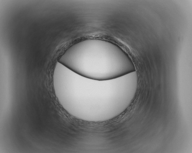 X0000112761447200908201024
