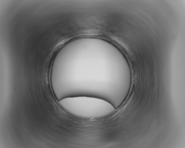 X0000112761451200908201024