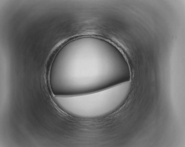 X0000112761452200908201024