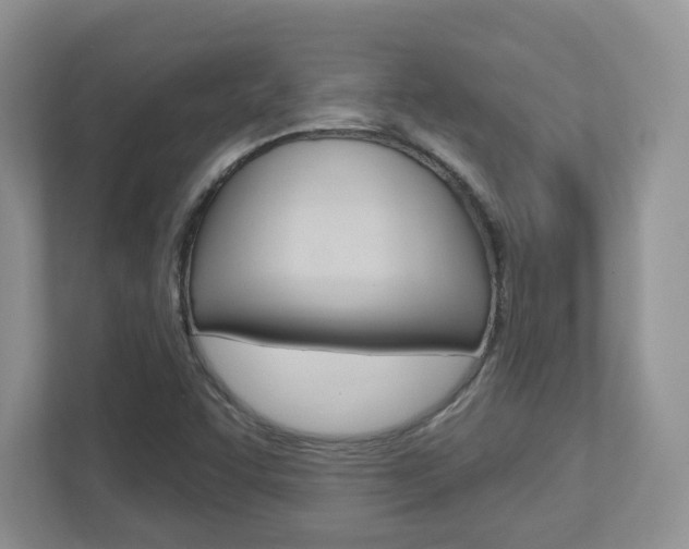 X0000112761455200908201024