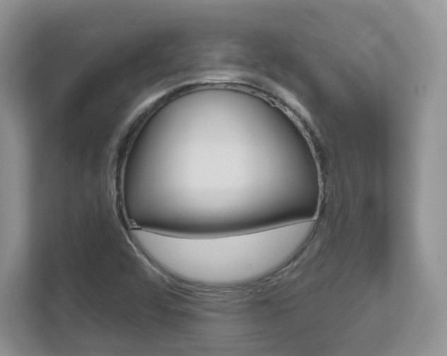 X0000112761456200908201024
