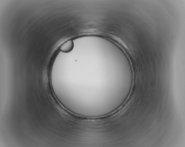 X0000112761458200908201024