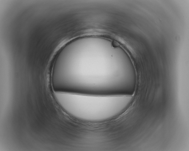 X0000112761459200908201024
