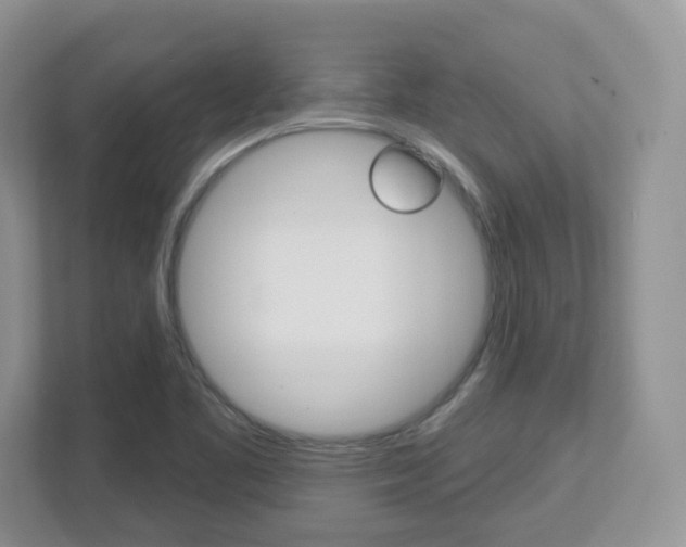 X0000112761461200908201024