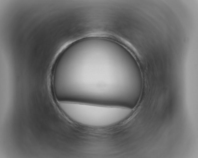 X0000112761463200908201024