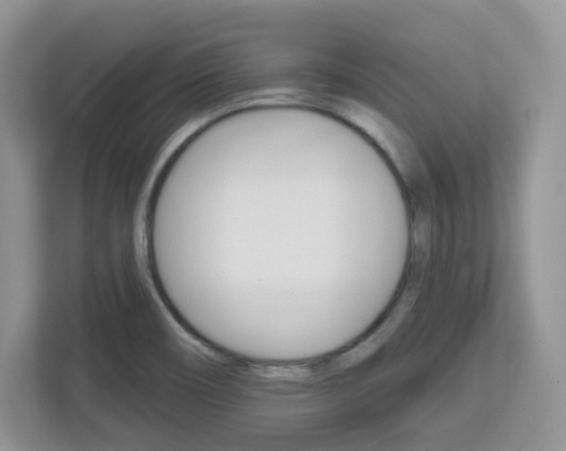 X0000112761466200908201024