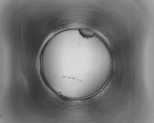 X0000112761467200908201024
