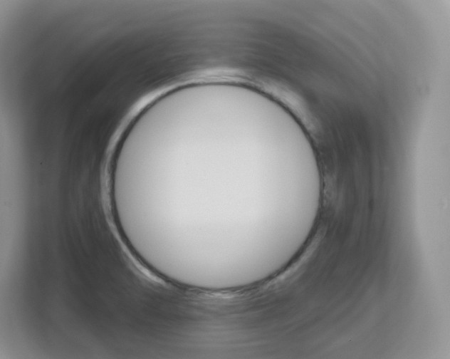 X0000112761470200908201023
