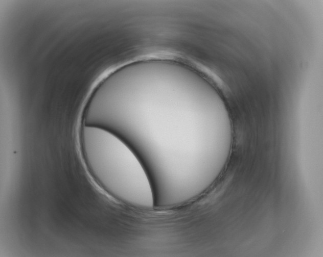 X0000112761471200908201023
