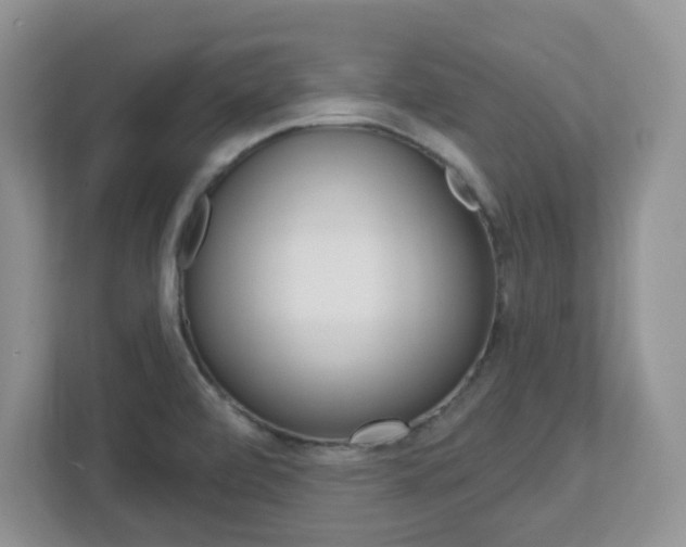 X0000112761472200908201023