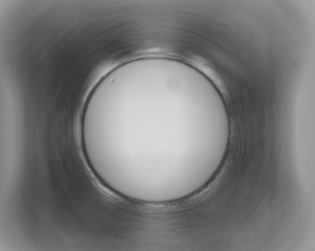 X0000112761474200908201023