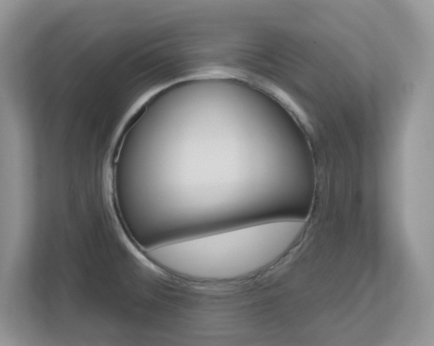 X0000112761476200908201023