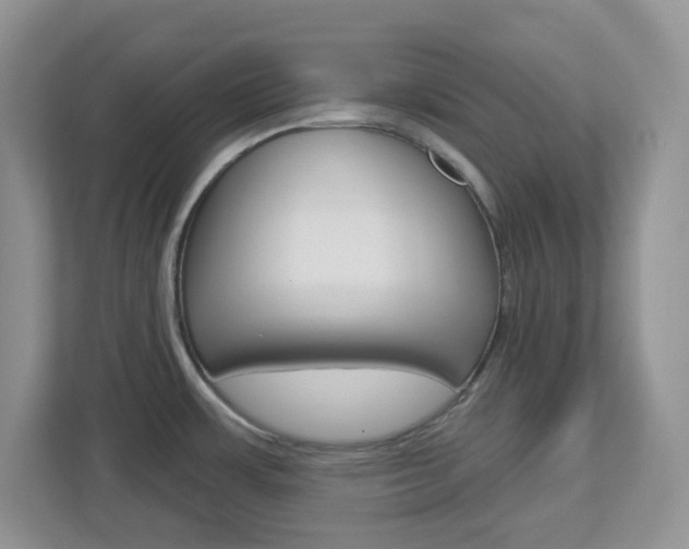 X0000112761483200908201023