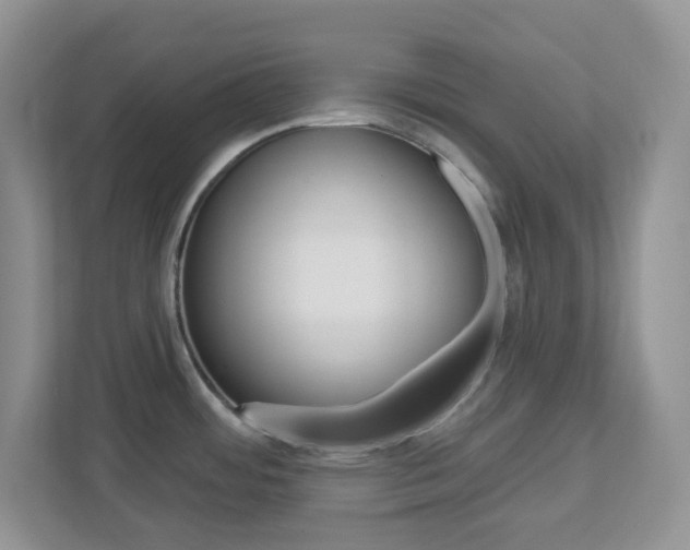 X0000112761484200908201023
