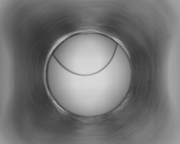 X0000112761485200908201023