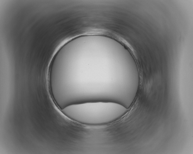 X0000112761487200908201023