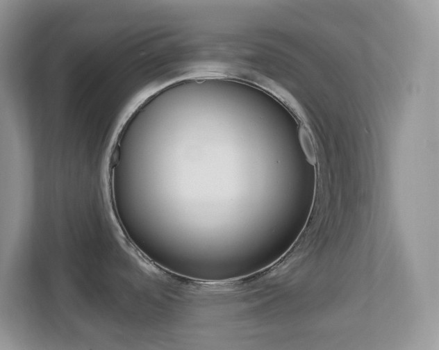 X0000112761488200908201023