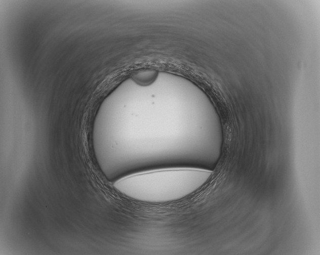X0000112761489200908201023