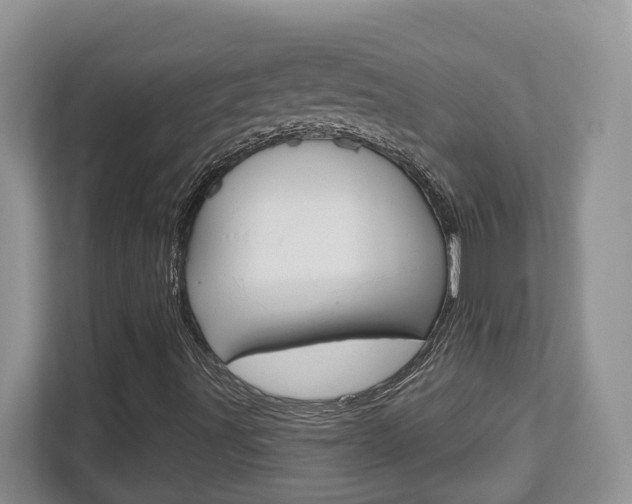 X0000112761491200908201023