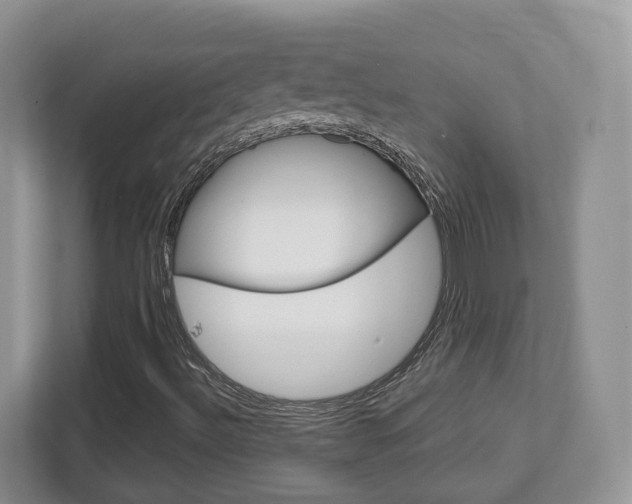 X0000112761492200908201023