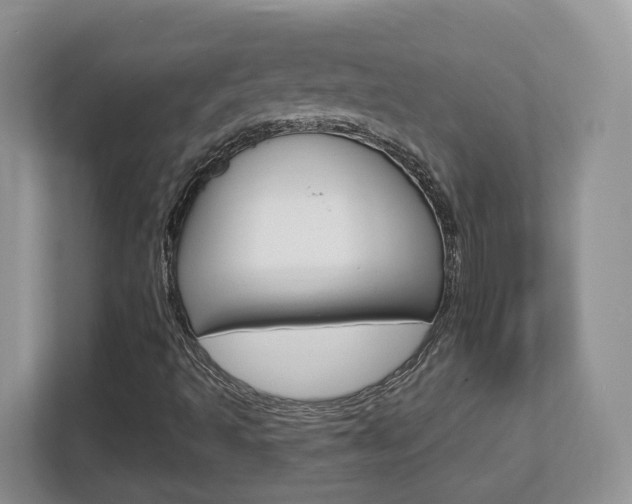 X0000112761493200908201023