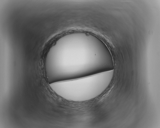 X0000112761494200908201023