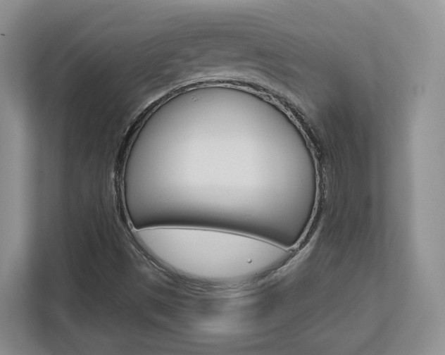 X0000112761497200908201023