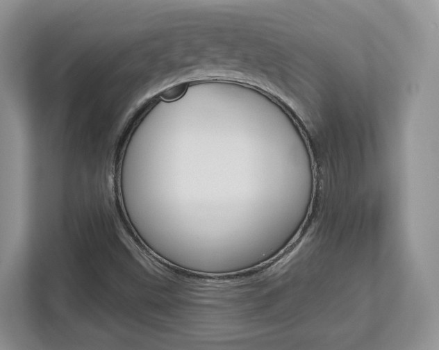 X0000112761499200908201023
