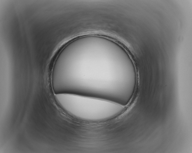 X0000112761501200908201023