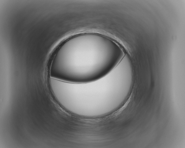 X0000112761502200908201023