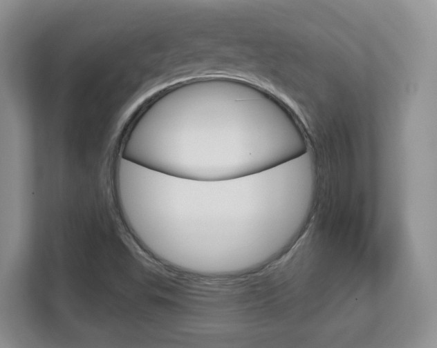 X0000112761503200908201023