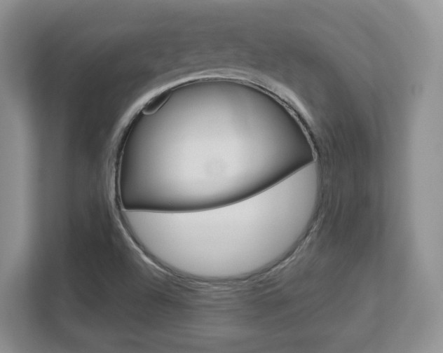 X0000112761504200908201023