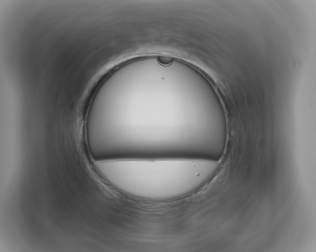 X0000112761507200908201023