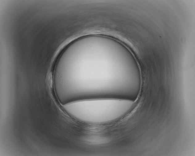 X0000112761509200908201023