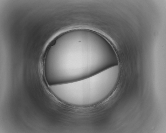 X0000112761510200908201023