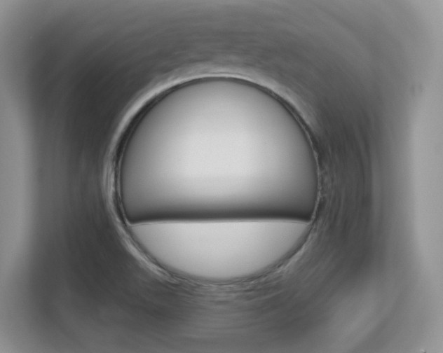 X0000112761511200908201023
