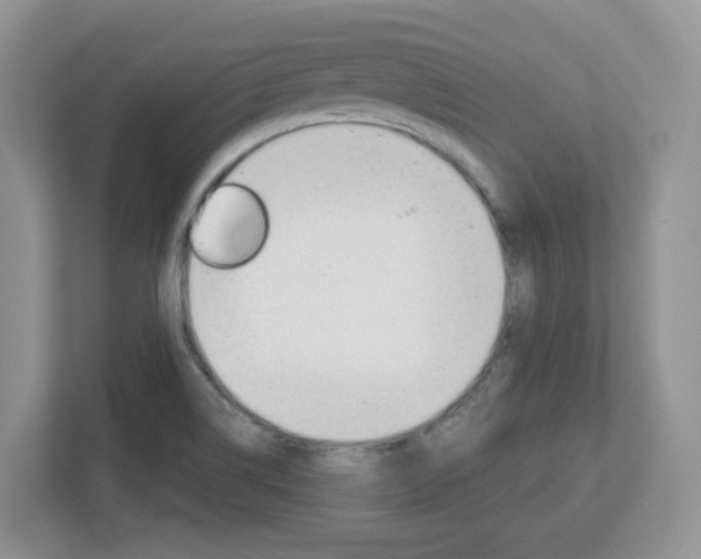 X0000112761514200908201023