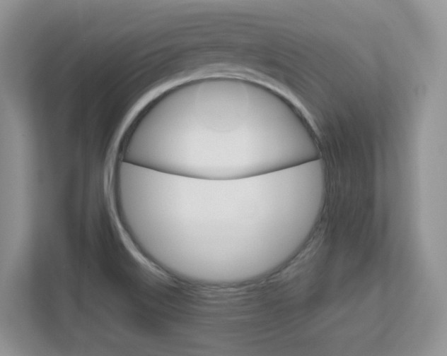 X0000112761515200908201023